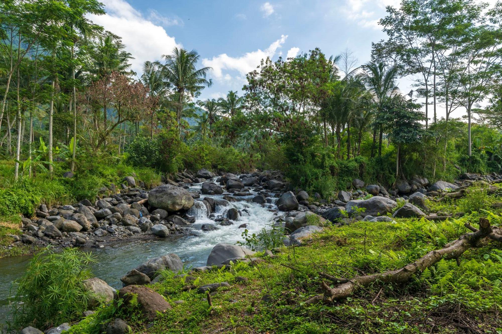 فندق وابا دي أومي سايدمين سيديمين المظهر الخارجي الصورة The river in the village of Kupapah
