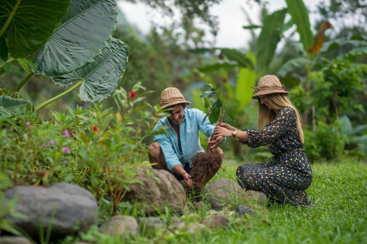 فندق وابا دي أومي سايدمين سيديمين المظهر الخارجي الصورة A farmer and a volunteer in the garden of the Green Village